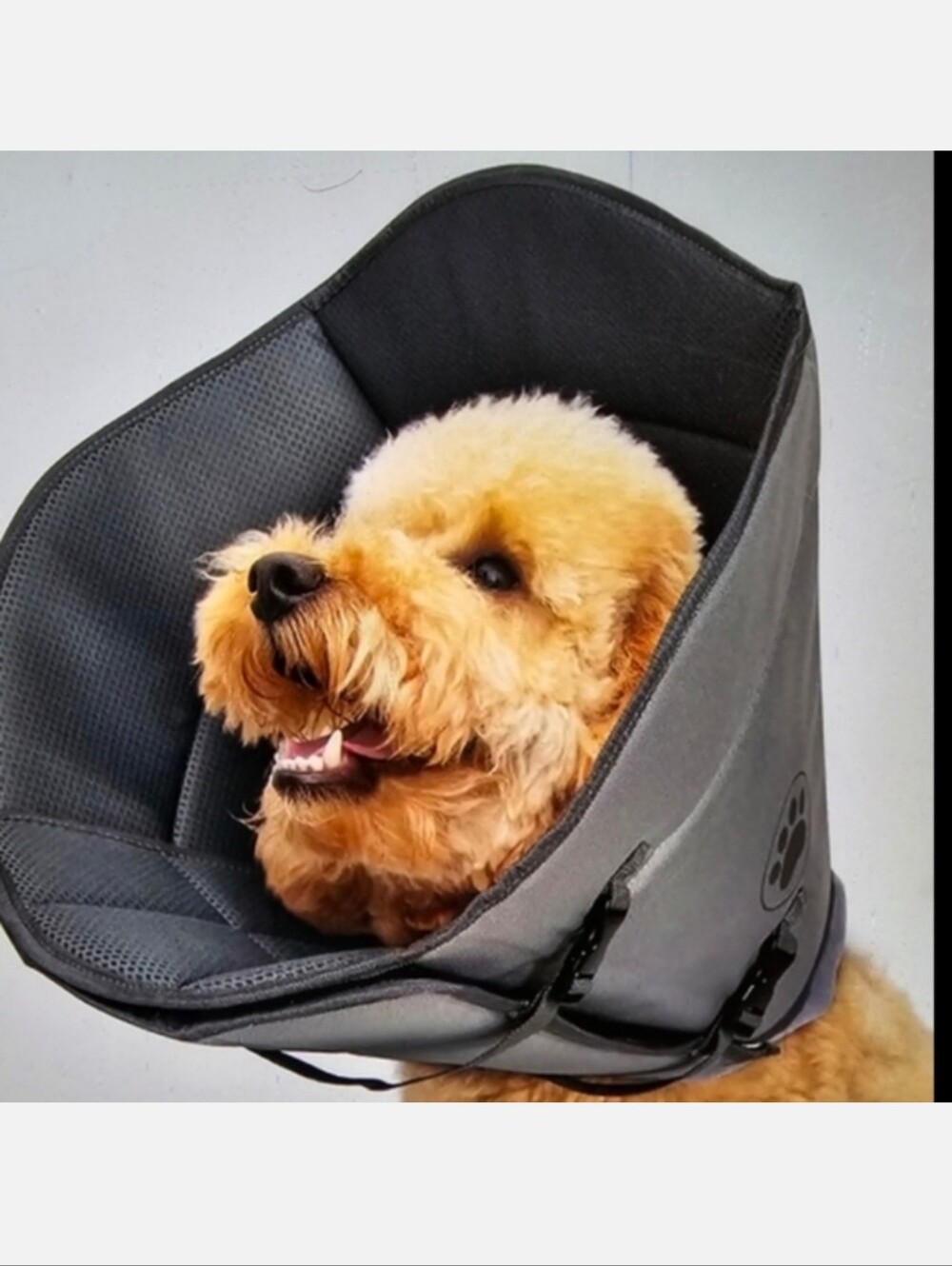 Soft Gray Inflatable Recovery Collar for Dogs - Comfortable Post-Op E-Collar